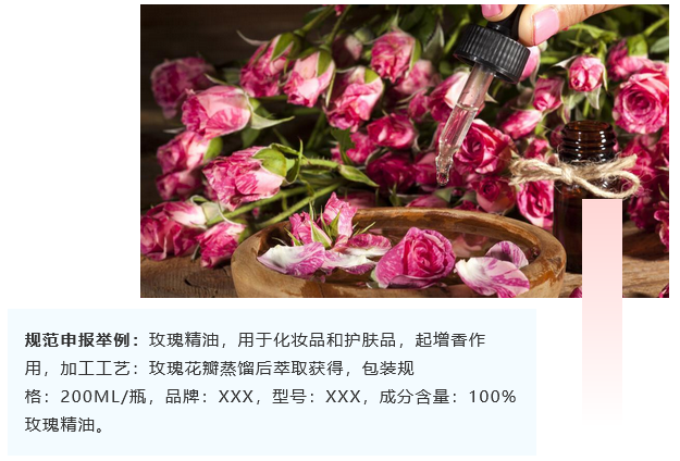 <a href='http://www.deep-3.cn' title='危險品海運' >危險品海運</a>